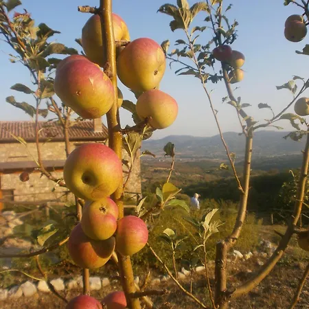 I Casali Di Colle San Paolo-3